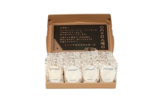 No.0097 フローズンフルーツパイナップル