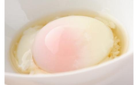 No.0979 森山の温泉たまご　ガンバ卵ショ10個入り×6箱セット [0979]