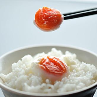 No.0980 森山の温泉たまご　たまご美人赤玉10個入り×6箱セット [0980]