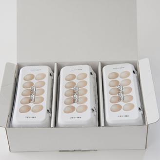 No.1898REPACO GARDEN フルーツエッグ30個入