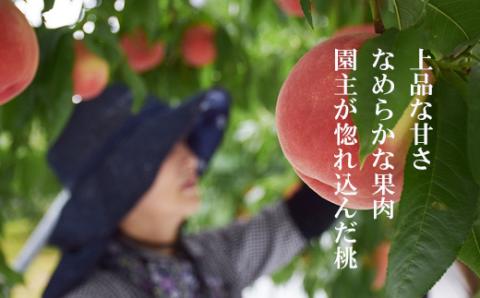 No.2230ヤマ考紺野果樹園 もも ゆうぞら約3kg【2026年発送】