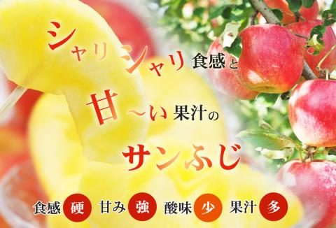 No.2770 ふくしまのサンふじりんご　約1kg 【2025年度発送】