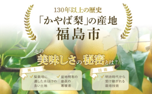 No.1718梨　なし　あきづき　約3kg　【2026年発送】