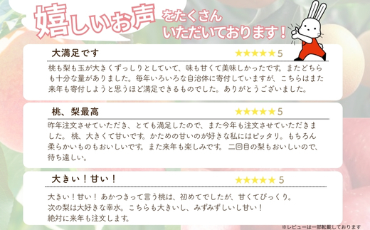 No.2037フルーツ２種定期便 【2026年発送】