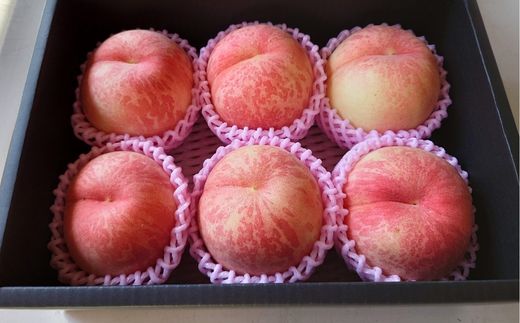 No.2293特選福島・東湯野のもも約2kg【2026年発送 先行予約】