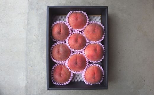 No.2294特選福島・東湯野のもも約3kg【2026年発送 先行予約】