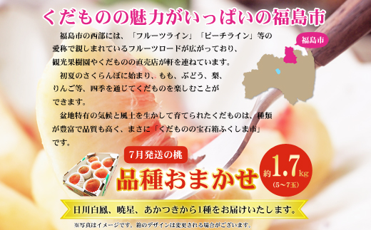 No.2421　7月発送の桃 特秀品約1.7kg【2026年発送】