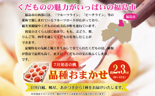 No.2422　7月発送の桃 特秀品約2.3kg【2026年発送】