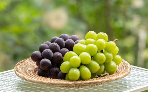 No.2475 くだものを現地で入手！！「ふくしまフルーツチケット」