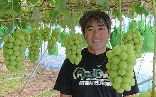 No.2503シャインマスカット（１房）【2026年発送】