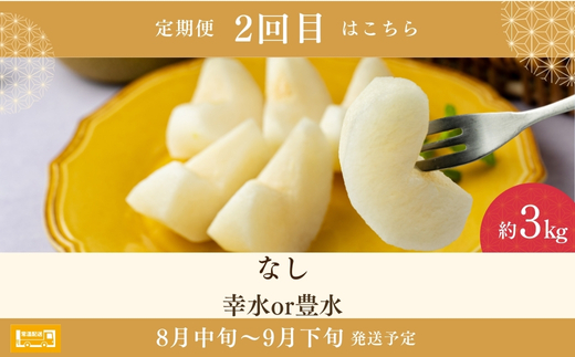 No.2528 【2026年発送分】フルーツ３種定期便　（桃約３kg、梨約３kg、ｼｬｲﾝﾏｽｶｯﾄ2～3房）