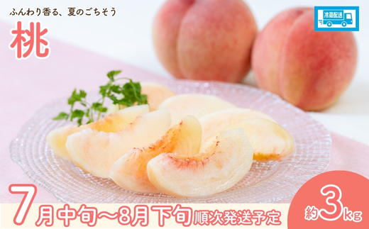 No.2549【2026年発送】フルーツ4種定期便