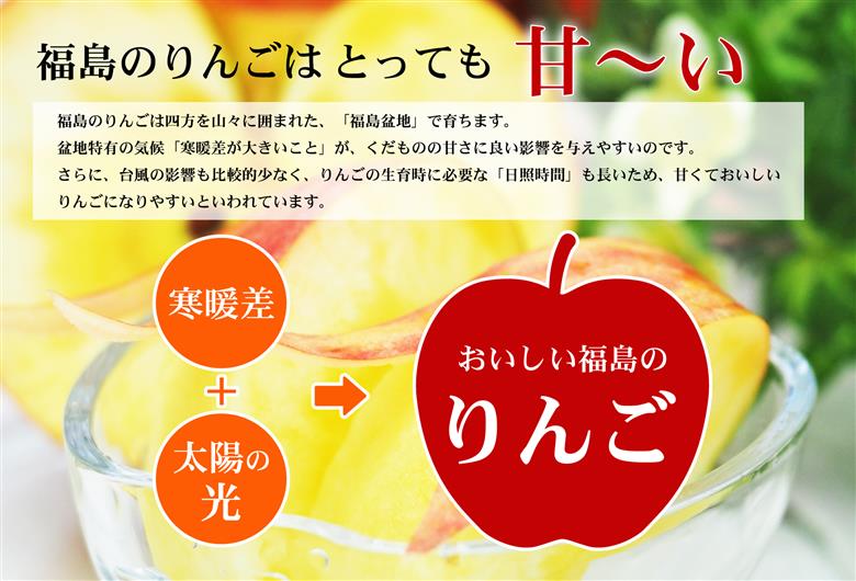 No.2771 ふくしまのサンふじりんご　約3kg【2025年度発送】