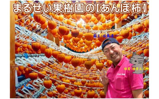 No.2833まるせい果樹園 あんぽ柿（蜂屋柿) 約500g【2026年1月より発送】