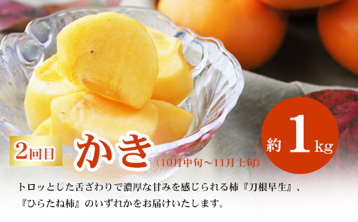 No.2866福島のフルーツ定期便２種【2026年発送】