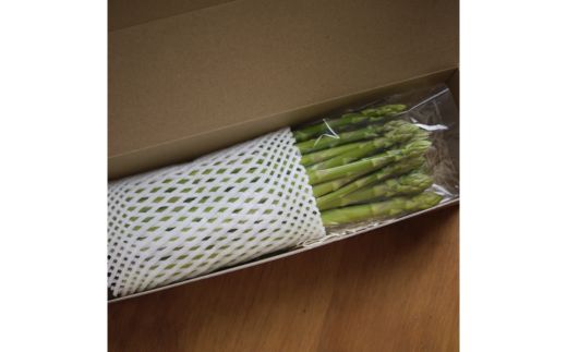 No.2878 【農家直送】鮮度抜群！アスパラガス500g　贈答用【2025年発送】