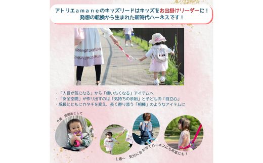 No.2893 ４ｗａｙキッズリードＤＸ　通常の長さタイプ【ベルト：オニキスブラック　リング：レッド】