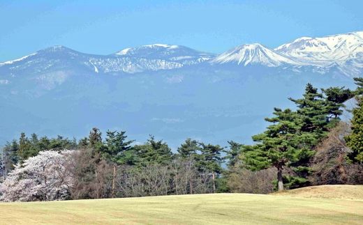 No.3000 福島ゴルフ倶楽部　ビジター特別割引券