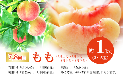 No.3095ふくしまの米とくだもの定期便 全12回【2026年発送分】