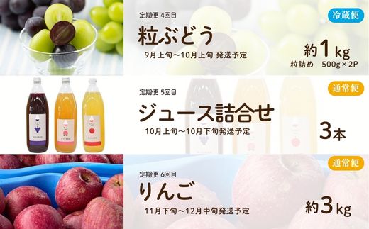 No.3313【全6回】あづま果樹園くだもの定期便【2026年発送】