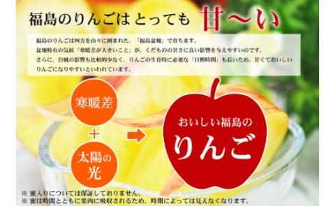 No.2419 ふくしまのサンふじりんご　約5kg【2025年度発送】