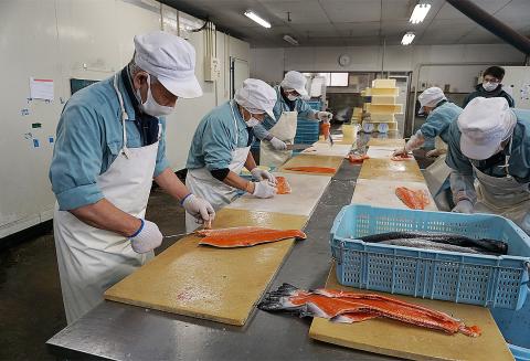 No.2196　福島名産 紅葉漬（鮭のこうじ漬け）140ｇ×４個