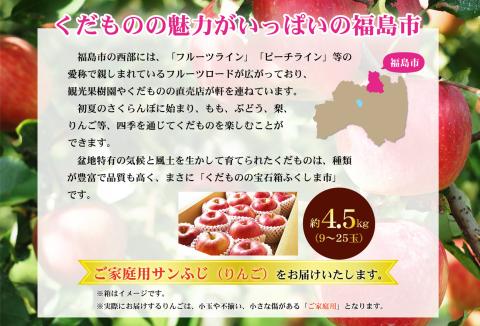 No.2773 サンふじりんご 訳あり ご家庭用　約4.5kg【2025年度発送】