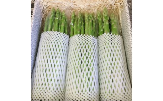 No.1059 すずよし農園 アスパラガス 1.5kg箱入【2025年発送】