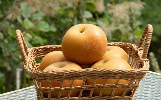 No.2475 くだものを現地で入手！！「ふくしまフルーツチケット」