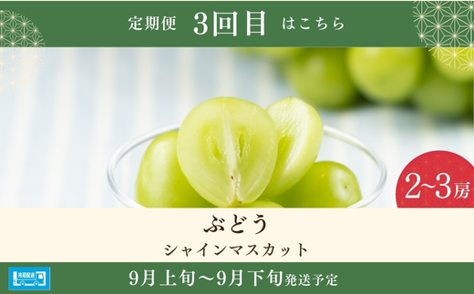 No.2528 【2026年発送分】フルーツ３種定期便　（桃約３kg、梨約３kg、ｼｬｲﾝﾏｽｶｯﾄ2～3房）