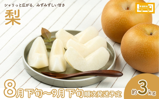 No.2549【2026年発送】フルーツ4種定期便