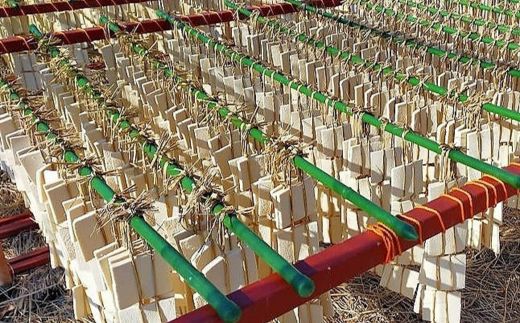 No.2750 福島市名産・立子山の凍み豆腐４連