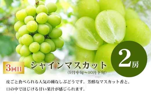 No.2769福島のフルーツ定期便４種【2026年発送】