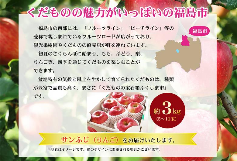 No.2771 ふくしまのサンふじりんご　約3kg【2025年度発送】