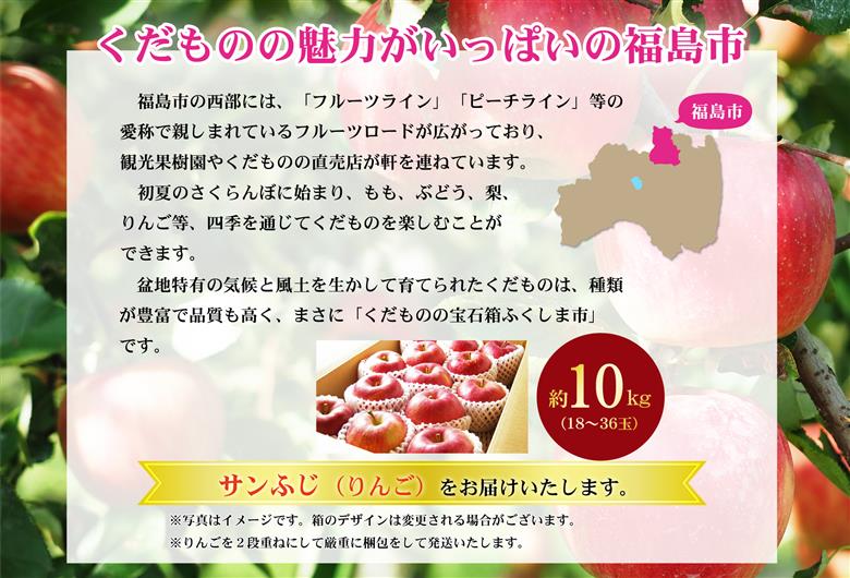 No.2772 ふくしまのサンふじりんご　約10kg【2025年度発送】