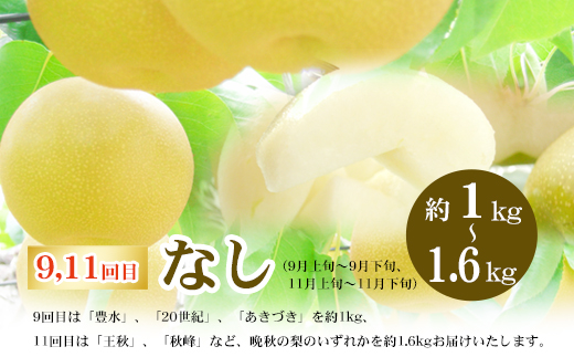 No.3095ふくしまの米とくだもの定期便 全12回【2026年発送分】