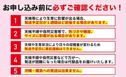 No.2419 ふくしまのサンふじりんご　約5kg【2025年度発送】