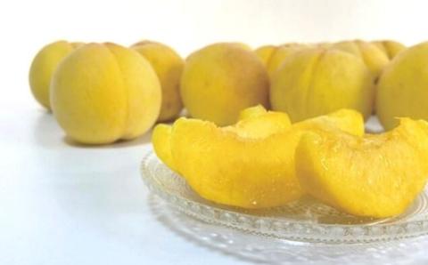 No.2182 福島の桃MOTTAIソルベ３種（２セット）