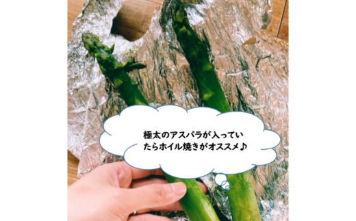 No.0793 すずよし農園 アスパラガス 1kg箱入【2025年発送】