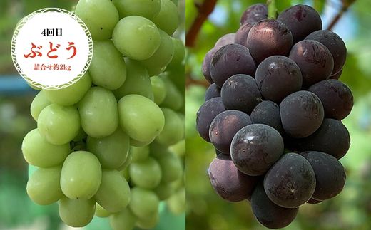 No.2337【全6回】あづま果樹園くだもの定期便【2025年発送】