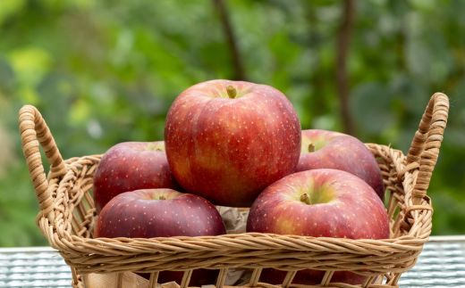 No.2475 くだものを現地で入手！！「ふくしまフルーツチケット」