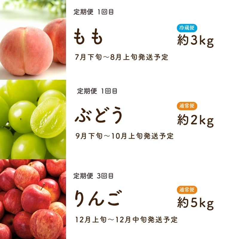 No.2495 伊藤果樹園のフルーツ3種定期便【2026年発送　先行予約】