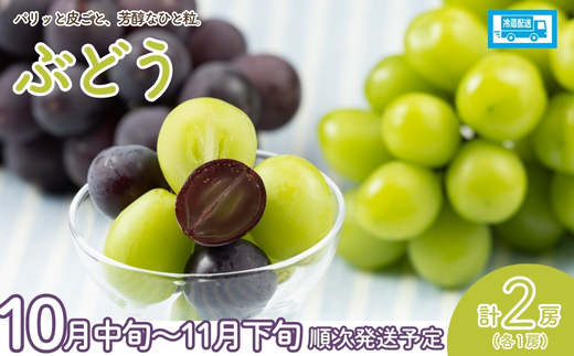 No.2549【2026年発送】フルーツ4種定期便