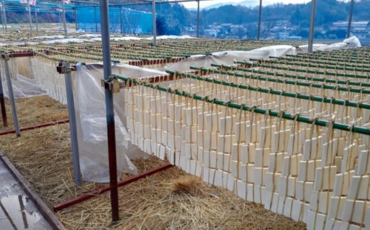 No.3016 福島市名産・立子山の凍み豆腐１０連