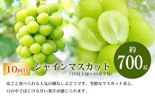 No.3095ふくしまの米とくだもの定期便 全12回【2026年発送分】
