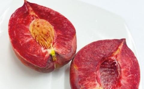 No.2182 福島の桃MOTTAIソルベ３種（２セット）