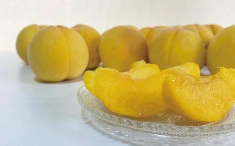 No.2476福島の果物と野菜MOTTAIソルベ・ジェラート６種（２セット）