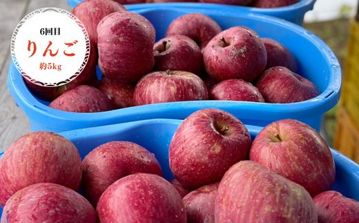 No.2337【全6回】あづま果樹園くだもの定期便【2025年発送】