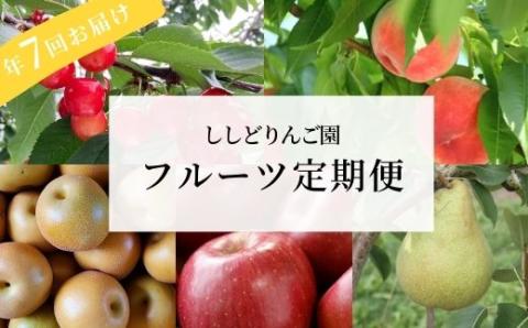 No.2247ししどりんご園 フルーツ7回定期便ミニコース【2025年発送】