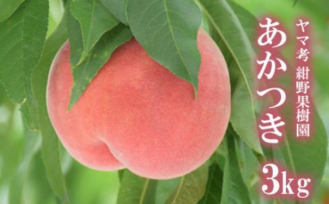 No.2228ヤマ考紺野果樹園 もも あかつき約3kg【2025年発送】
